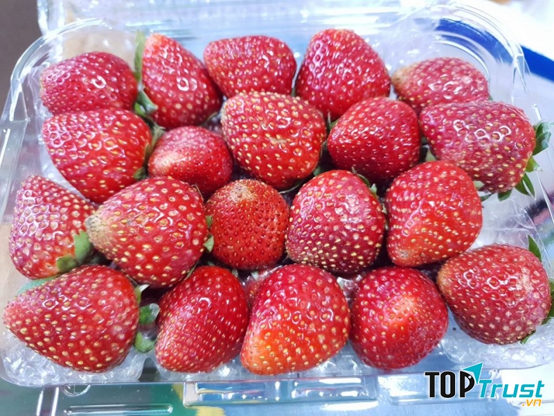 Đông Dương Fruits