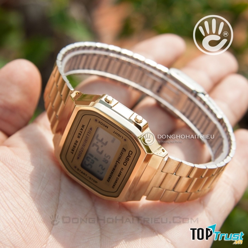 Đồng Hồ Hải Triều