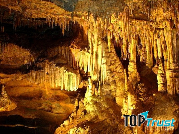 Dưới ánh đèn vô vàn các nhũ đá, cột đá hiện ra với nhiều hình thù rất đẹp mắt