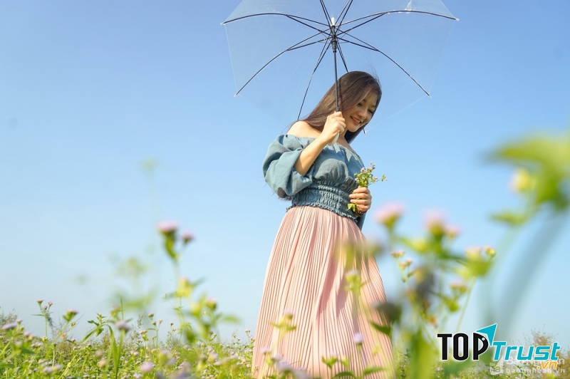 Tạo hình cùng những đoá hoa dại bên bờ sông Lam