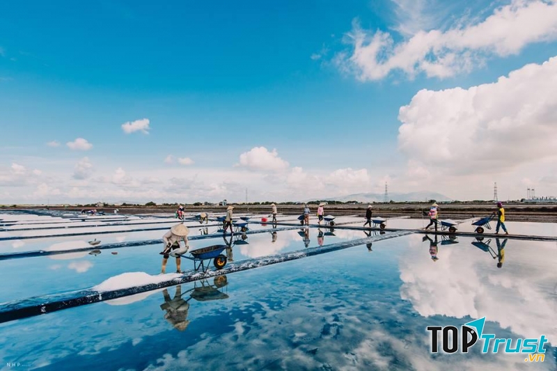 Đồng muối Bạch Long