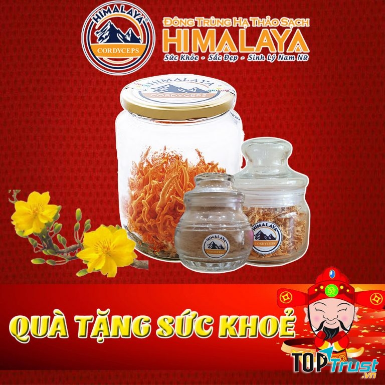 Sản phẩm đông trùng hạ thảo khô