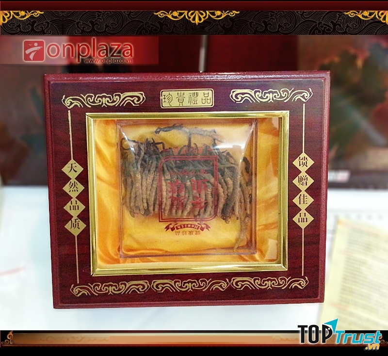 Đông trùng hạ thảo nguyên con sấy khô hộp gỗ 20g