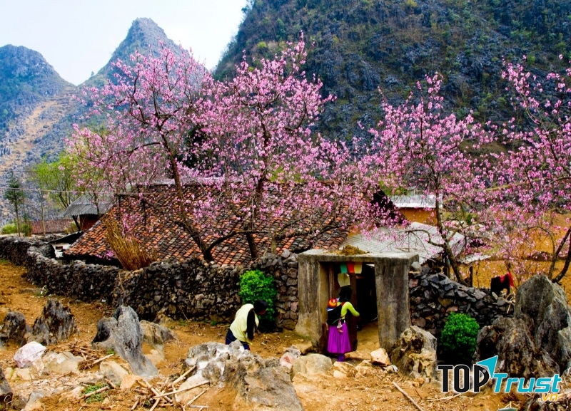 Những ngôi nhà vách đá nằm giữa núi đồi