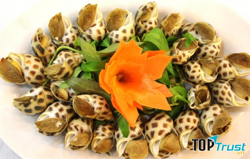 Động vật có vỏ sống