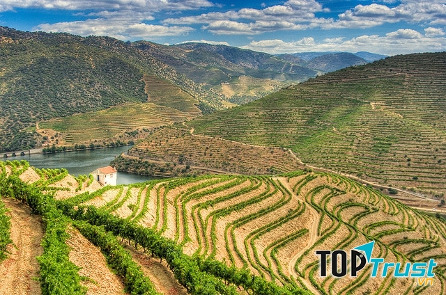 Ruộng bậc thang ở Douro, Bồ Đào Nha