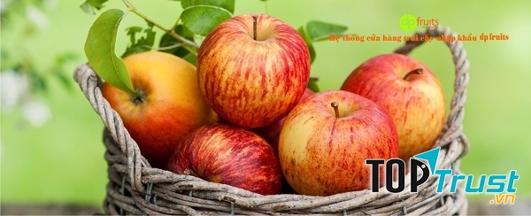 Thương hiệu trái cây nhập khẩu DP Fruits