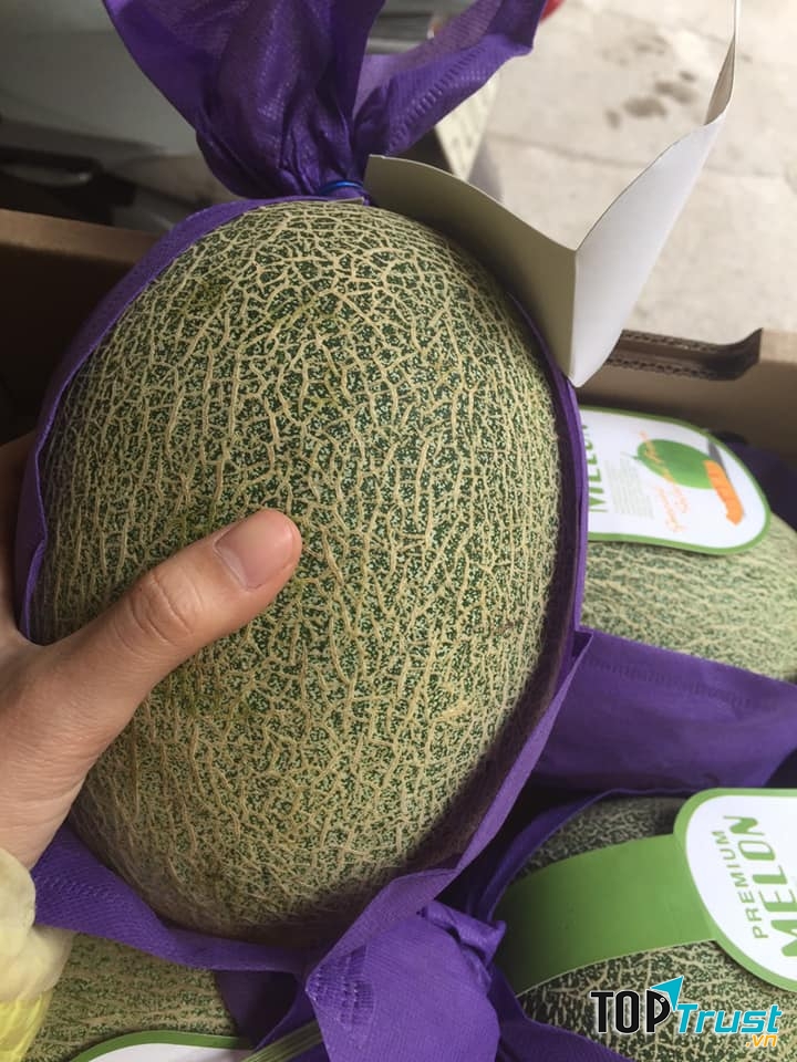 DP Fruits Lạng Sơn