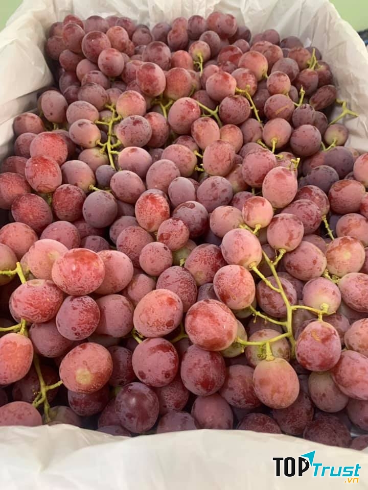 DP Fruits Lạng Sơn