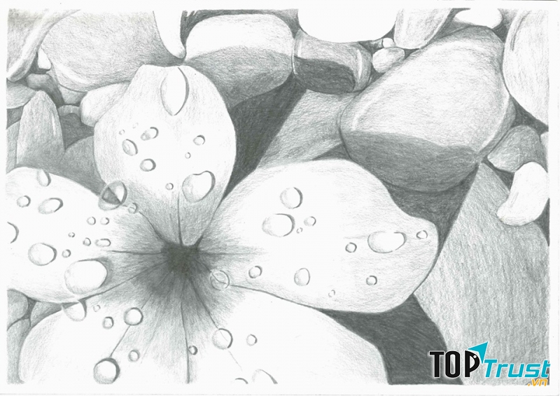 Bài tập thực hành của bạn Anh Châu - học viên tại DpiCENTER