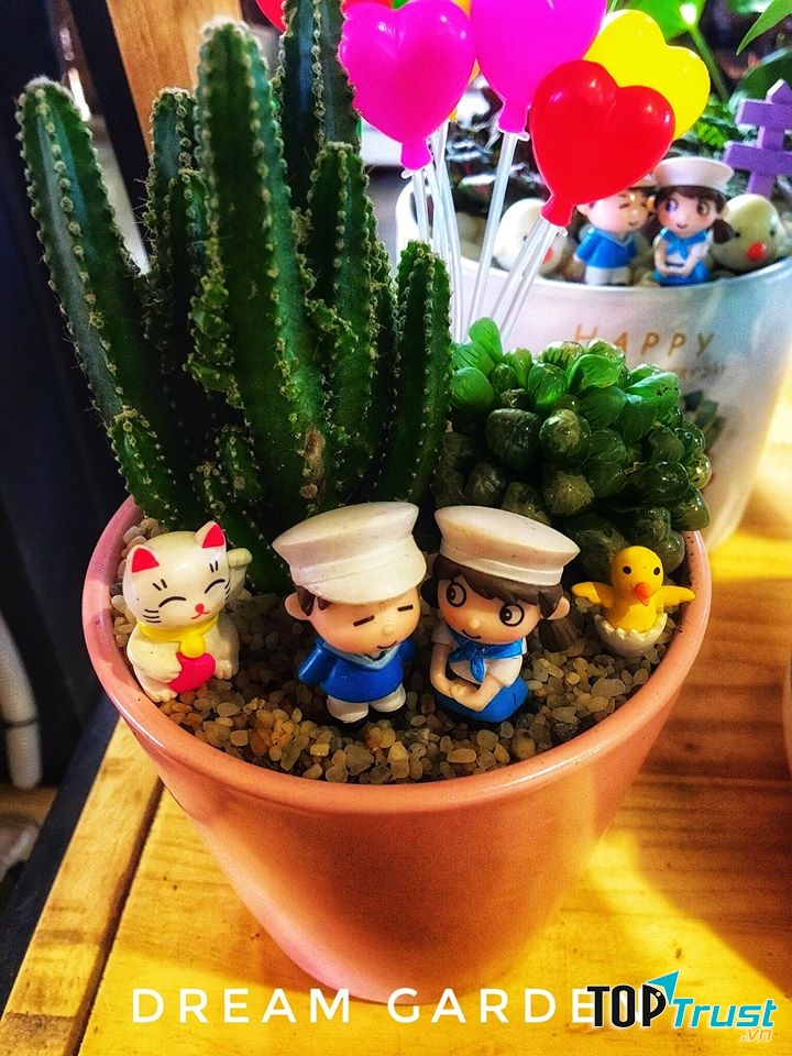 Dream Garden - Coffee, Tiểu cảnh mini, Sen đá, Cây cảnh văn phòng - Gia Lai
