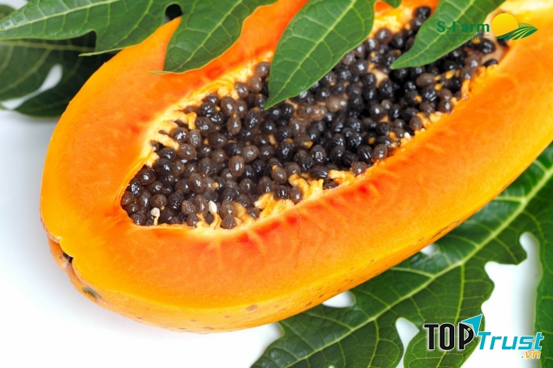 Chào đón một năm mới ấm no và thịnh vượng.