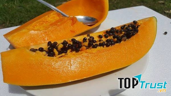 Đu đủ Long Khánh, Đồng Nai