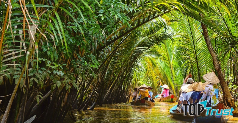 Du lịch cồn Thới Sơn