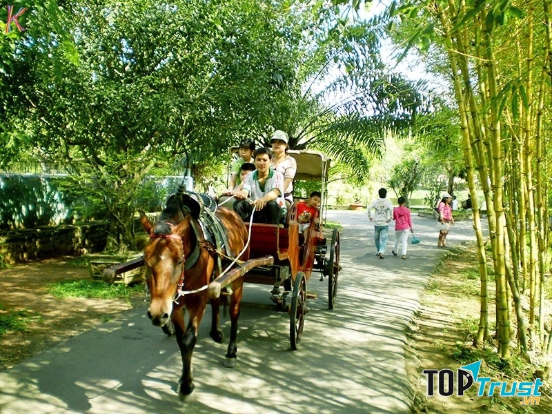 Du lịch cồn Thới Sơn