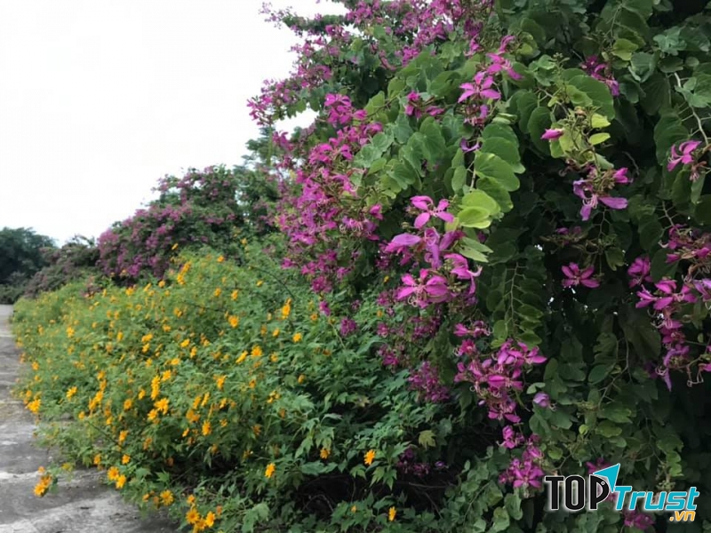 Hồ Tiên Sa
