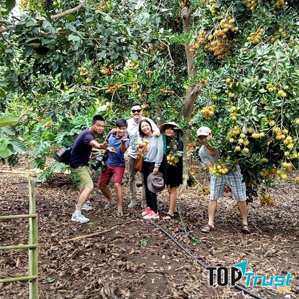 Du Lịch Miệt Vườn