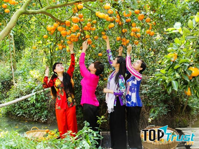 Du lịch miệt vườn Cái Bè