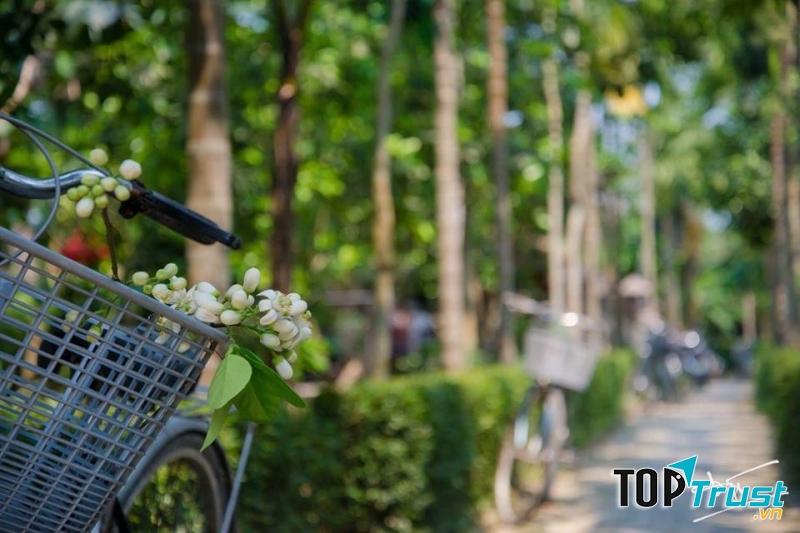 Đặc biệt, đạp xe dạo quanh làng và dừng chân ghé thăm các làng nghề làm rượu gạo, làm hương trầm hay làng nghề làm giấy vàng mã.