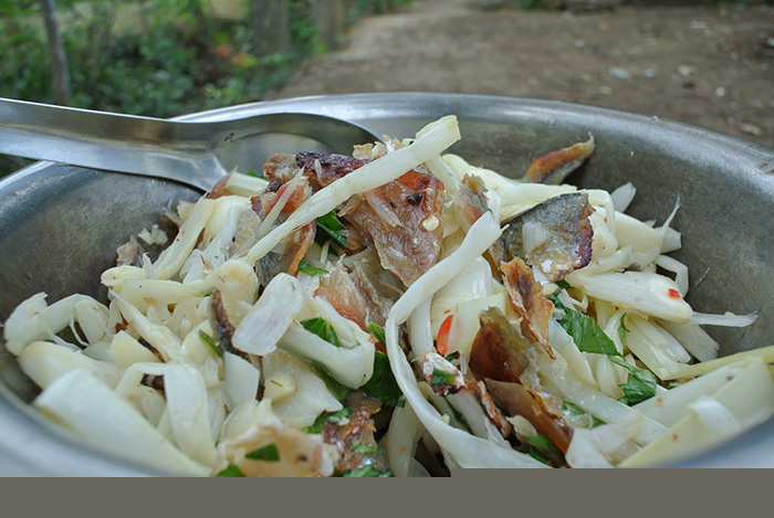 Dưa bồn bồn Bạc Liêu
