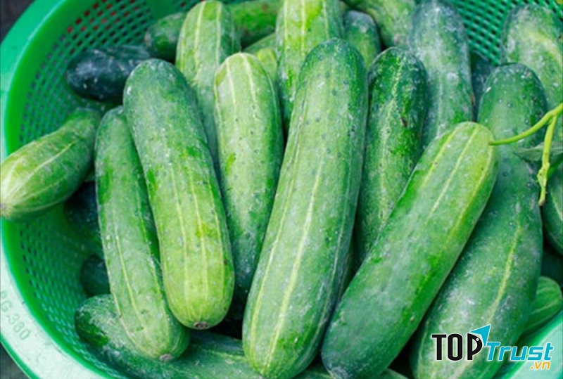 Dưa leo chứa lượng nước lớn, kích thích bài tiết độc tố