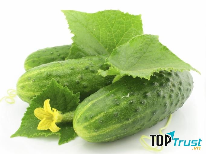 Dưa chuột chống say nắng.