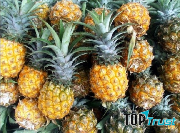 Dứa Đồng Giao - đặc sản trái cây Ninh Bình