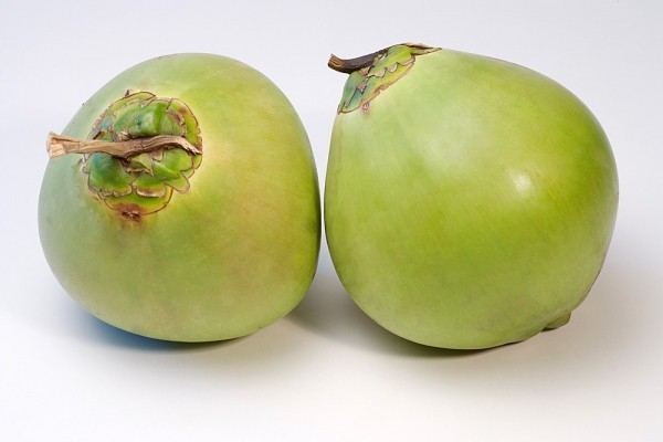 Bổ sung thêm dừa vào khẩu phần ăn giúp bạn tăng cân hiệu quả