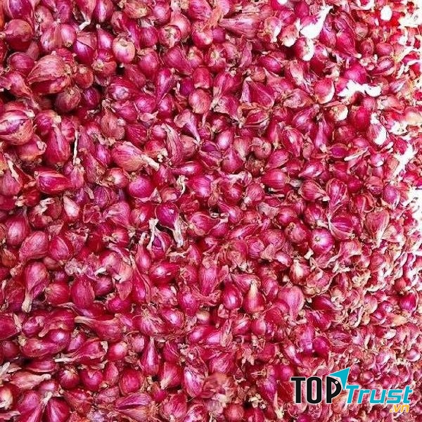 Hành tím làm dưa rất tốt cho cơ thể