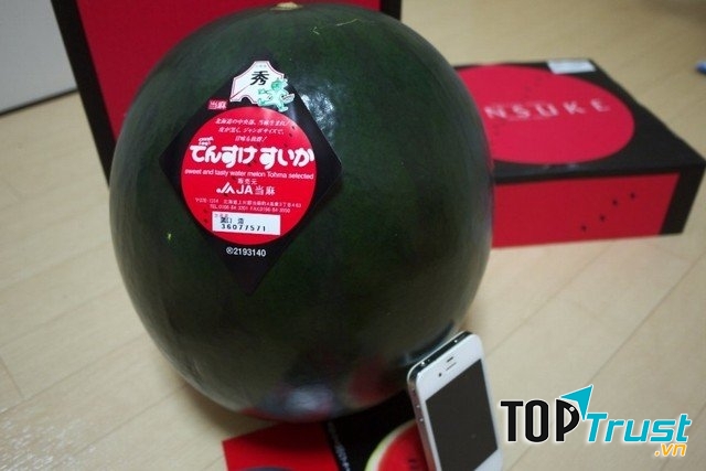 Dưa hấu Densuke