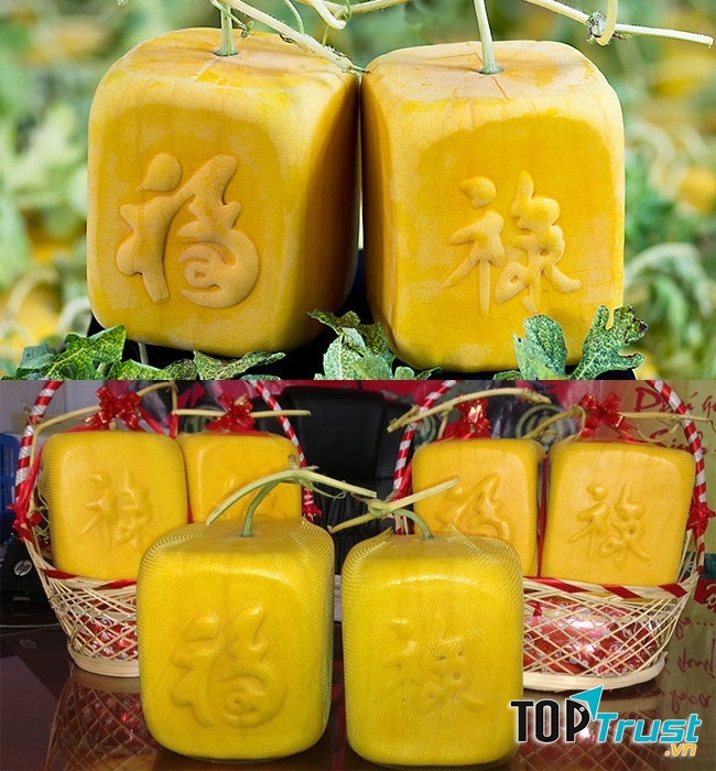 Dưa hấu vuông