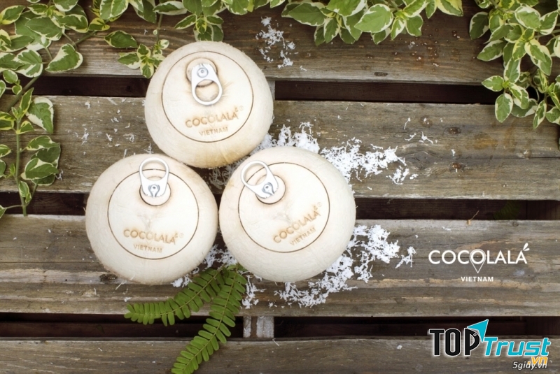 Dừa nắp khoen Coco Lala