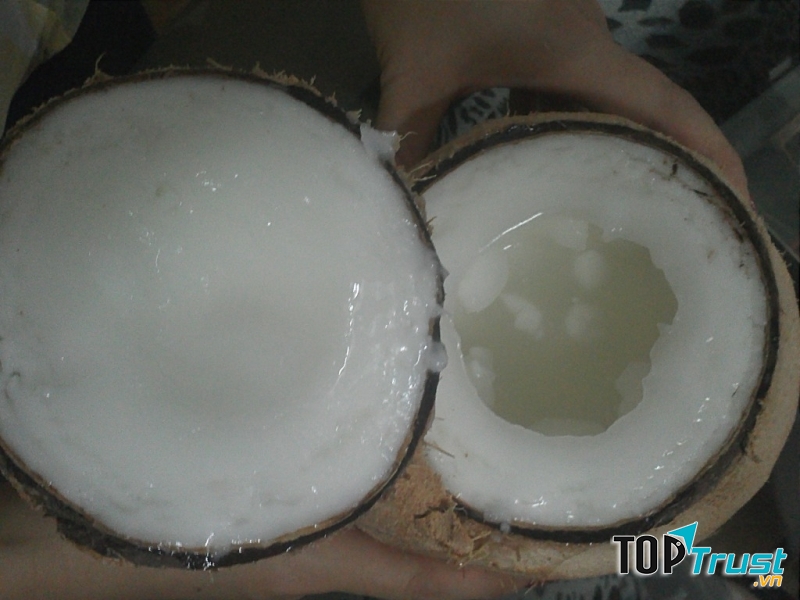 Dừa sáp Bến Tre