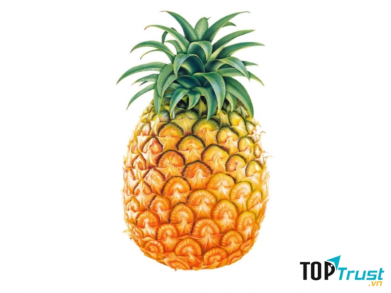 Một ly sinh tố dứa vừa ngon vừa là nguồn cung cấp vitain C tuyệt vời