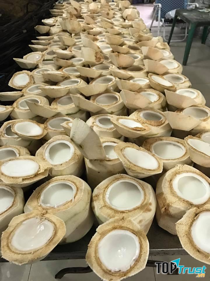 một ngày quán có thể bán được hàng trăm quả dừa các loại