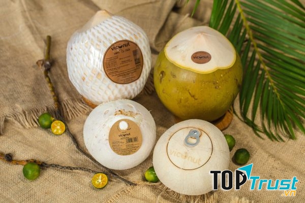 Các sản phẩm Viconut được sản xuất đẹp mắt và sáng tạo