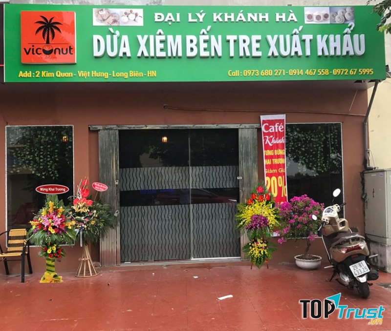 Một cơ sở của dừa xiêm Viconut