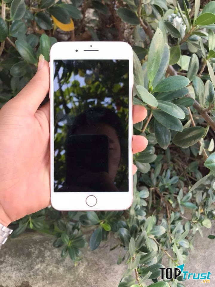 Đức Quý Mobile