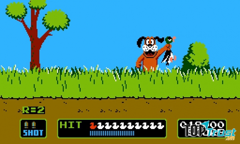 Duck Hunt