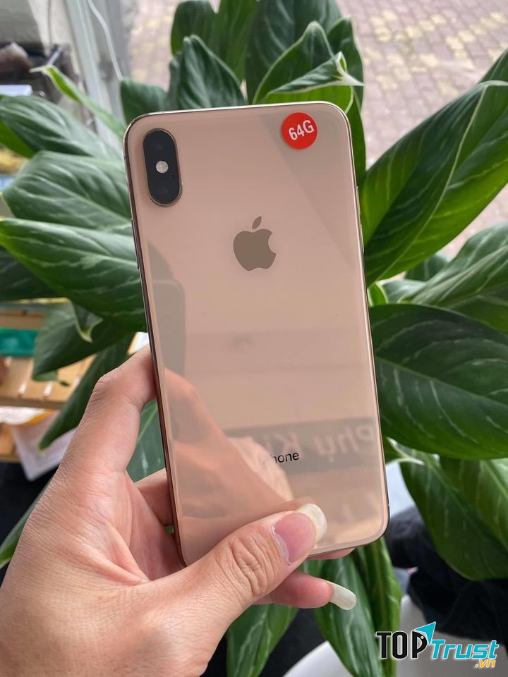 Dũng Apple