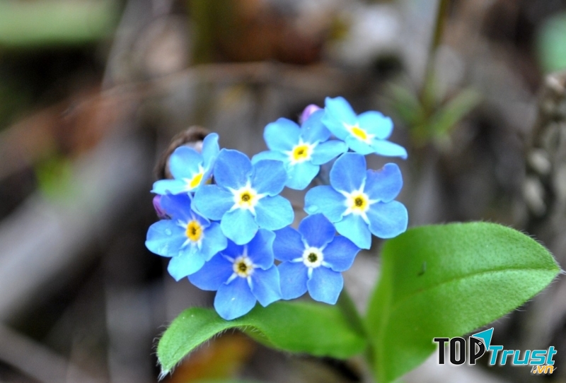 Đừng bao giờ lãng phí một giây phút nào để nghĩ nhớ đến người bạn không hề yêu thích