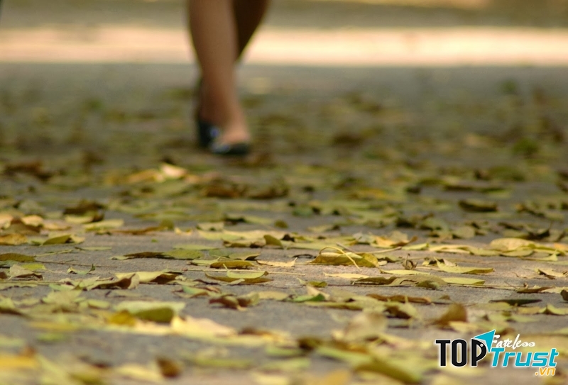 Viết bất kể thăng trầm