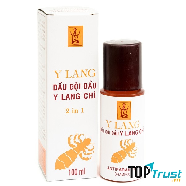 Dùng dầu gội trị chấy