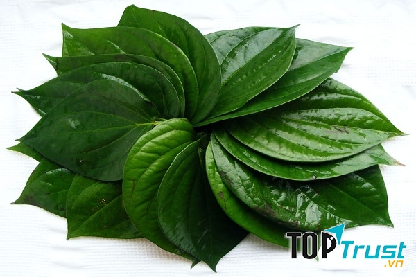 Dùng lá trầu không chữa viêm xoang