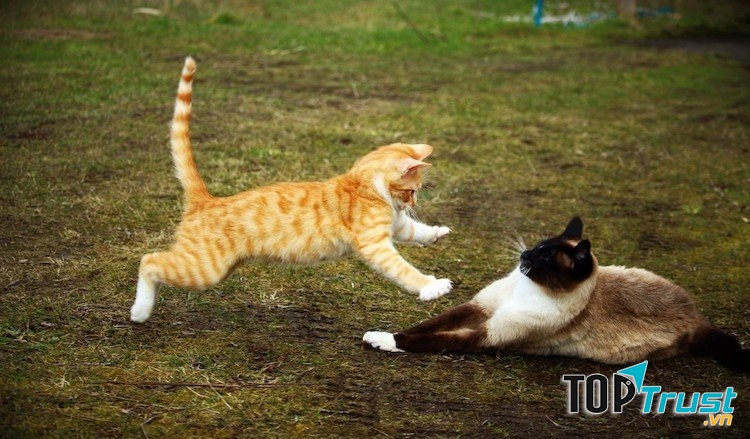 Đừng so sánh bản thân với bất cứ a