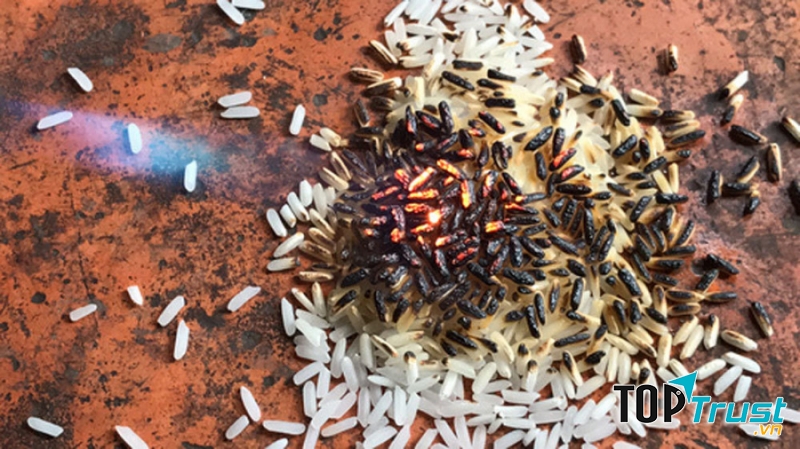 Nếu gạo bắt cháy ngay lập tức và có mùi của nhựa thì đó chính là gạo giả