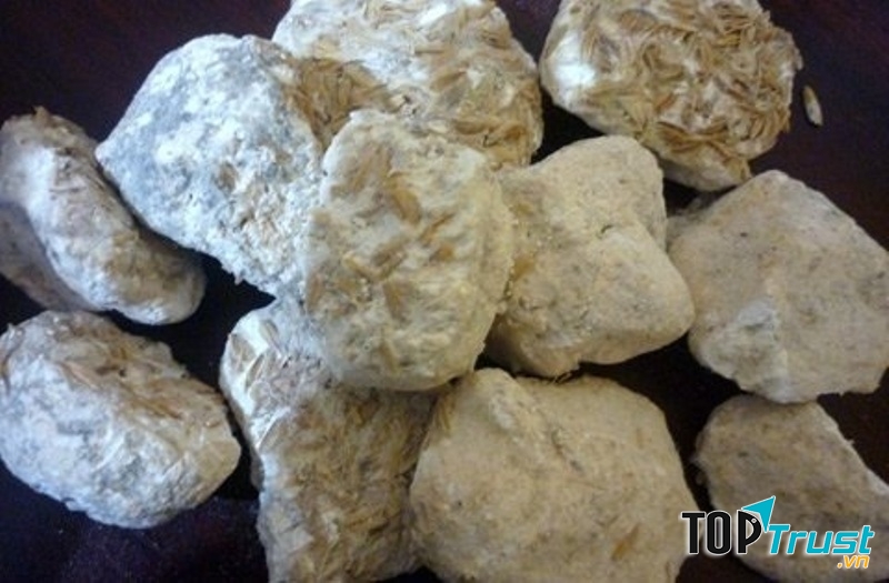 Men rượu trộn rượu giúp sữa thông và thơm sữa