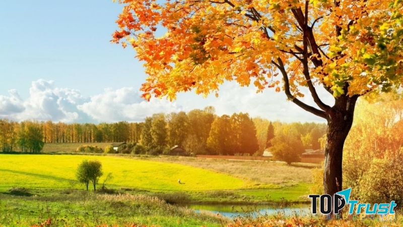 Đừng nên có thái độ bất mãn người khác hoài. Bạn hãy quay về kiểm điểm chính mình mới đúng. Bất mãn người khác là chuốc khổ cho chính mình