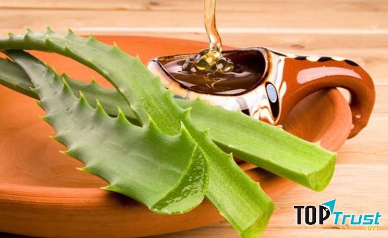 Dùng mật ong và nha đam chữa trào ngược dạ dày﻿