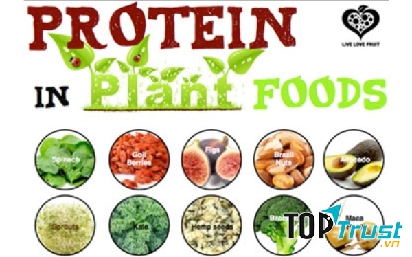 Dùng nhiều thực phẩm nguồn gốc protein thực vật